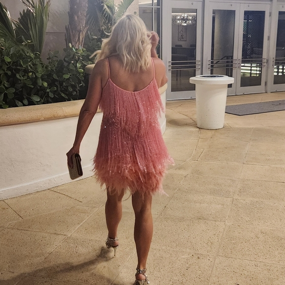 Nadine Merabi Pink Lotte Dress Size Large, US 10 - Picture 2 of 8